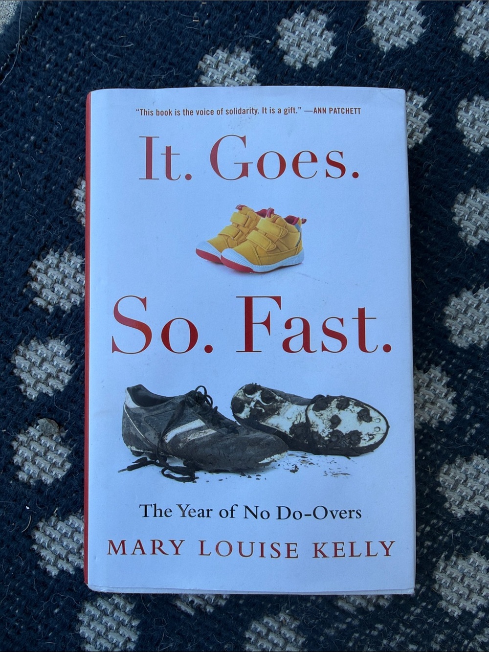 Book : It goes so fast